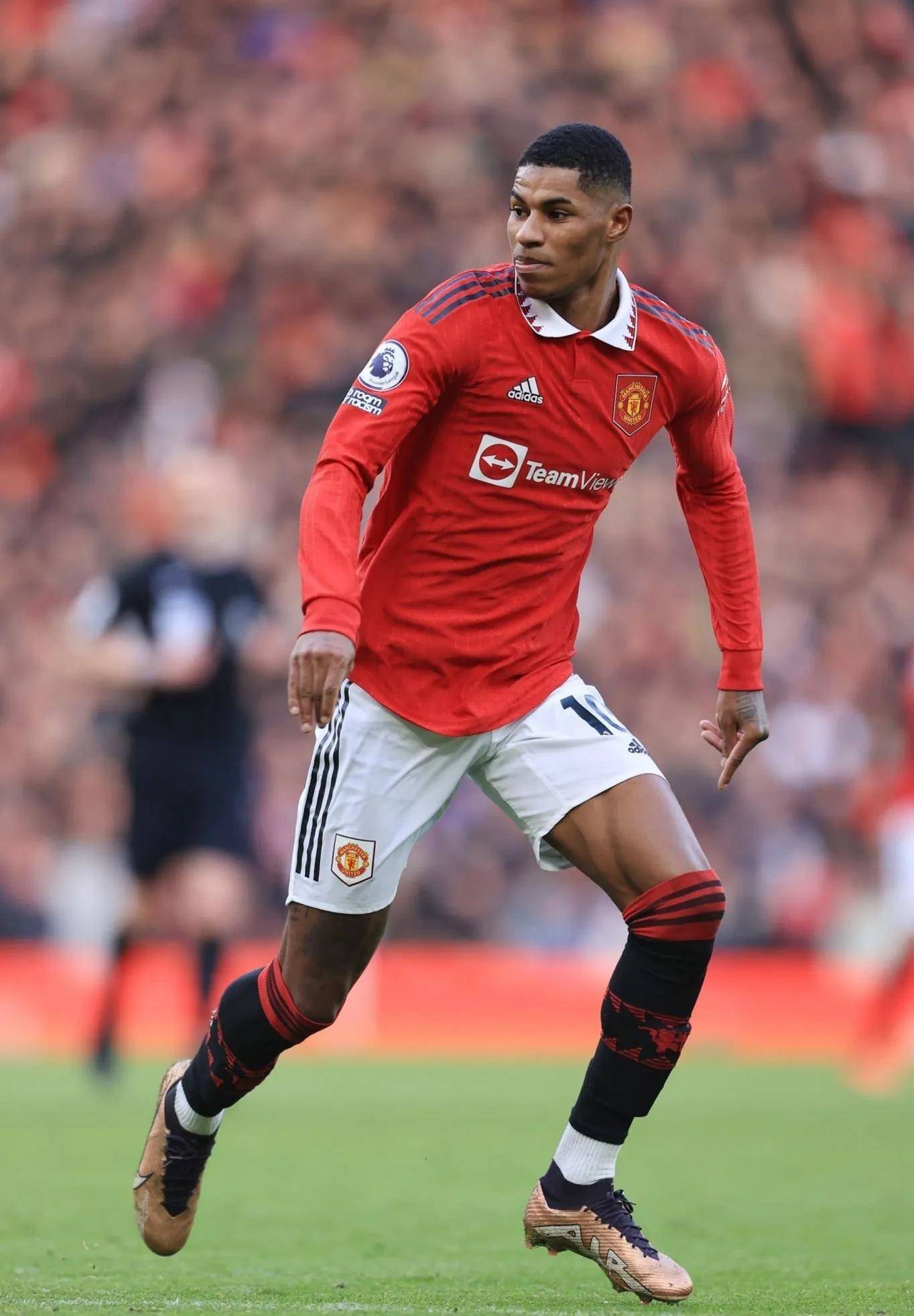 以城市为章 以城市为章